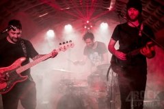 _MG_8548