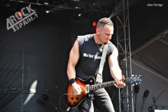 Alter Bridge (4)