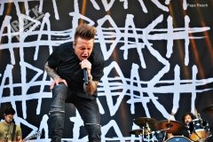 Papa Roach (4)