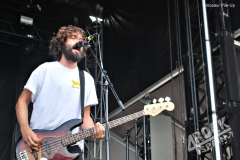 Dinosaur Pile-Up (3)