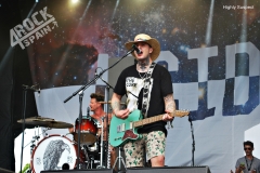 Highly Suspect (2)