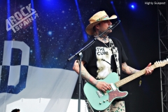 Highly Suspect (4)