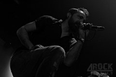 _MG_2943 M