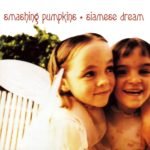 siamesedream