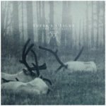 cover There's A Light - A Long Lost Silence