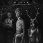 Luminaria cover